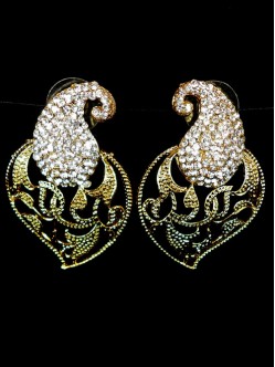 Fashion Earrings